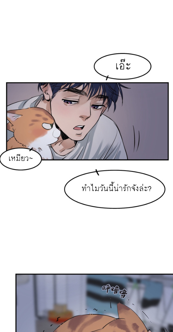 นี่เจ้าเหมียวคิดอะไรอยู่นะ 4 21