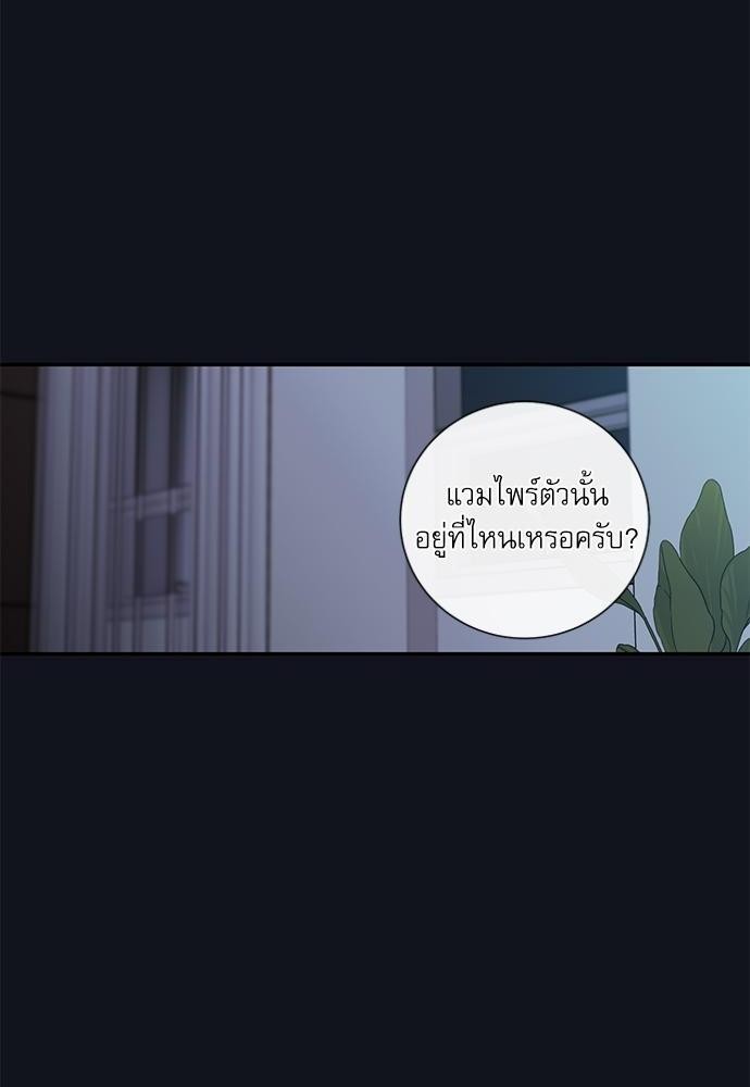 ความลับของ28 40