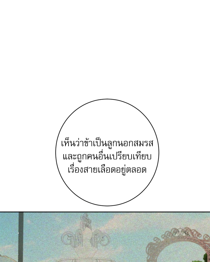 พันธสัญญาแวมไพร์32 067