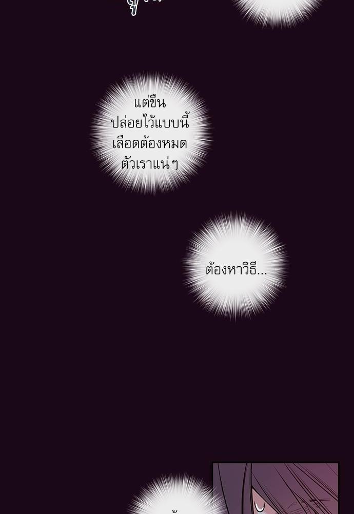 ความลับของ37 20