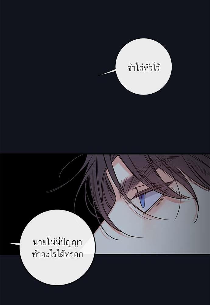 ความลับของ29 59