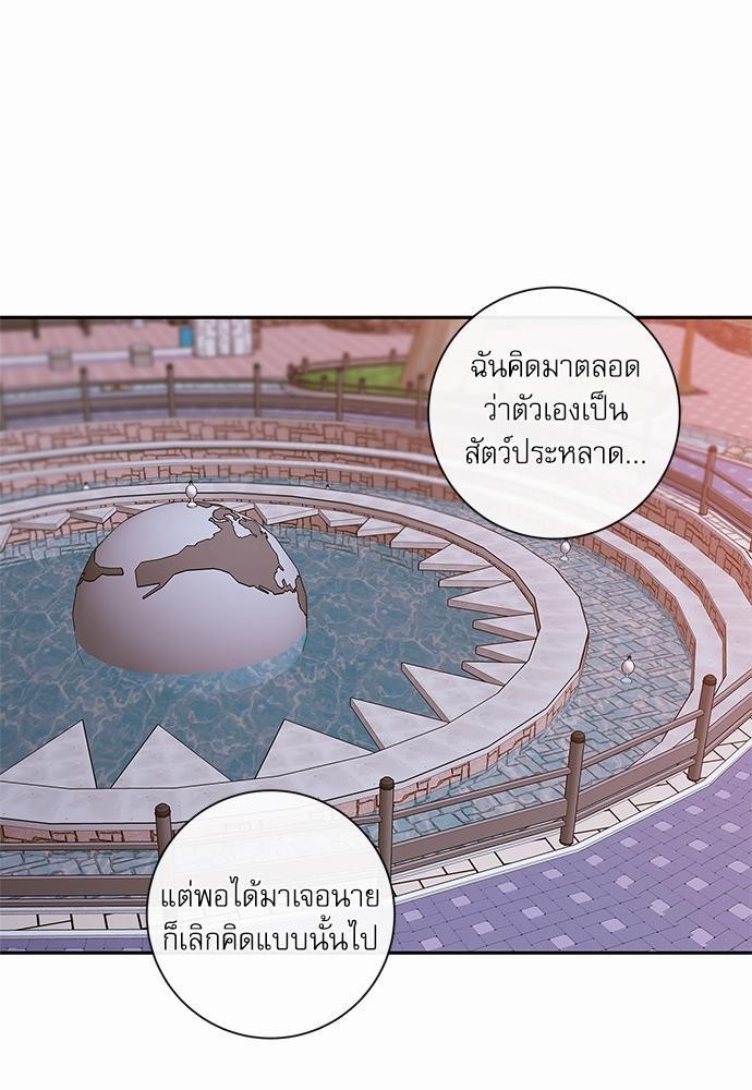 ความลับของ46 33