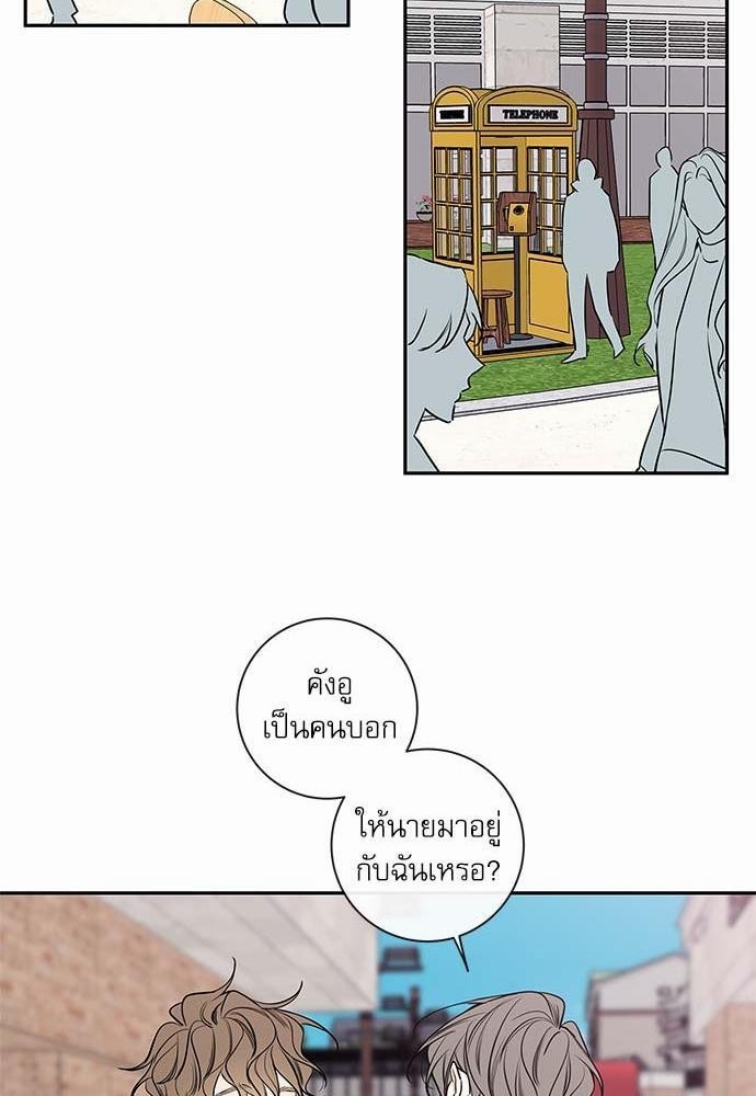 ความลับของ43 39