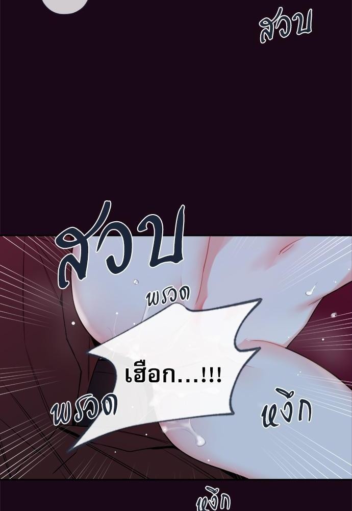 ความลับของ36 26