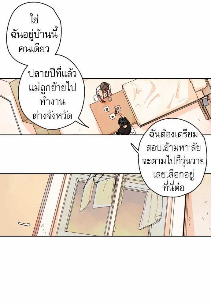 หนุ่มจอมจุ้นขอเป็นพ่อสื่อ 9 16