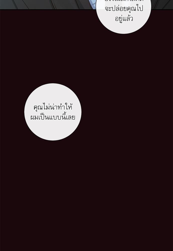 ความลับของ19 55