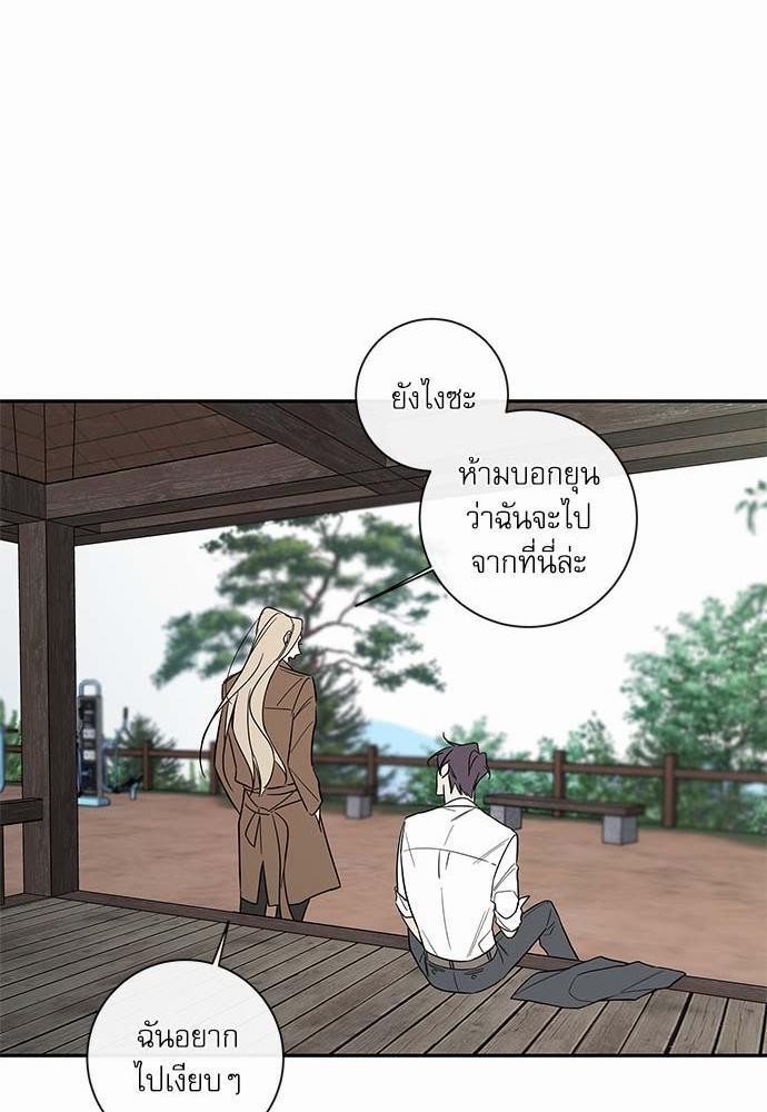 ความลับของ43 33