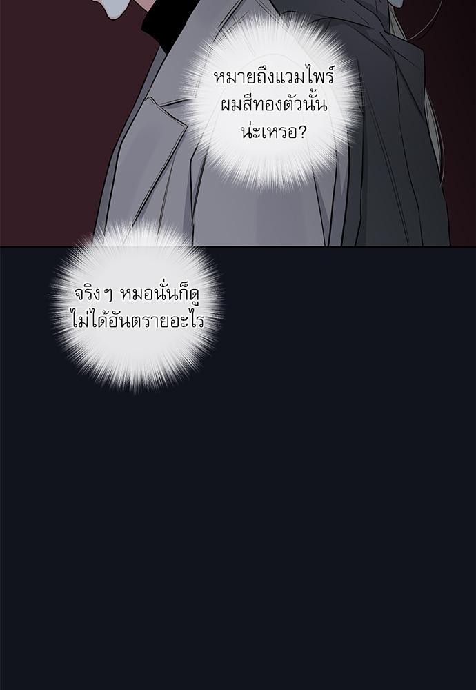 ความลับของ28 43